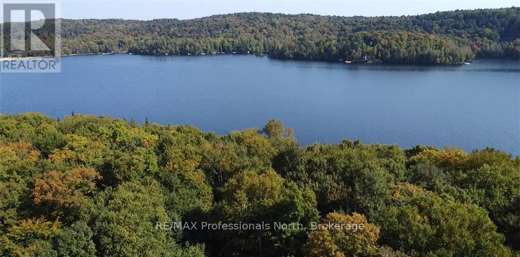 1448-2 West Oxbow Lake Road, Lake Of Bays, Ontario  P1H 2J6 - Photo 15 - X12826254