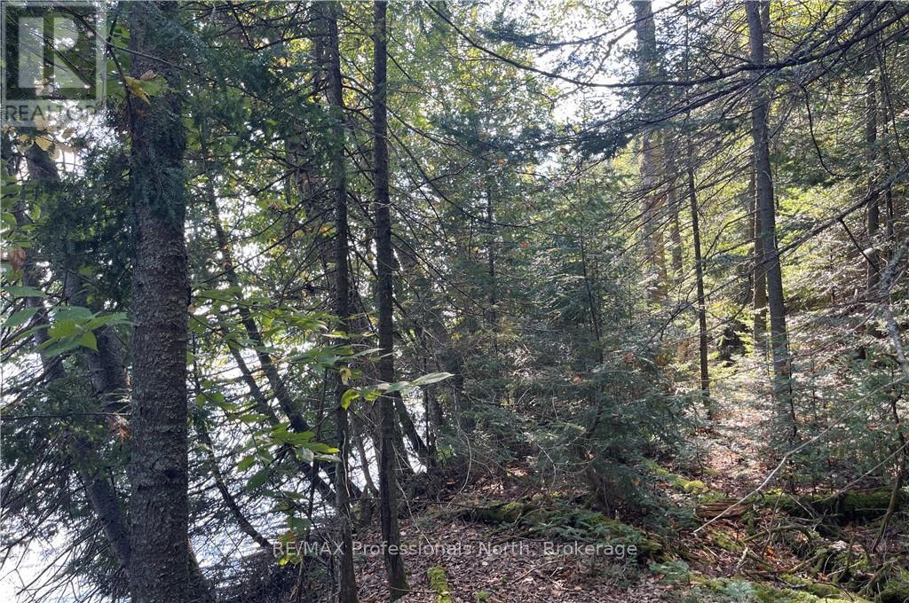 1448-2 West Oxbow Lake Road, Lake Of Bays, Ontario  P1H 2J6 - Photo 17 - X12826254