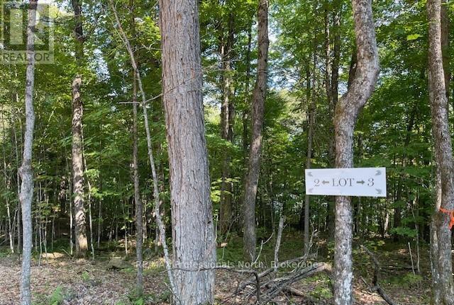 1448-2 West Oxbow Lake Road, Lake Of Bays, Ontario  P1H 2J6 - Photo 7 - X12826254