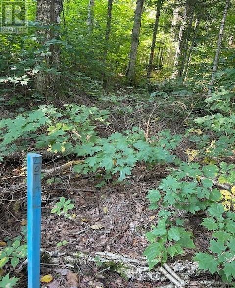 1448-2 West Oxbow Lake Road, Lake Of Bays, Ontario  P1H 2J6 - Photo 8 - X12826254