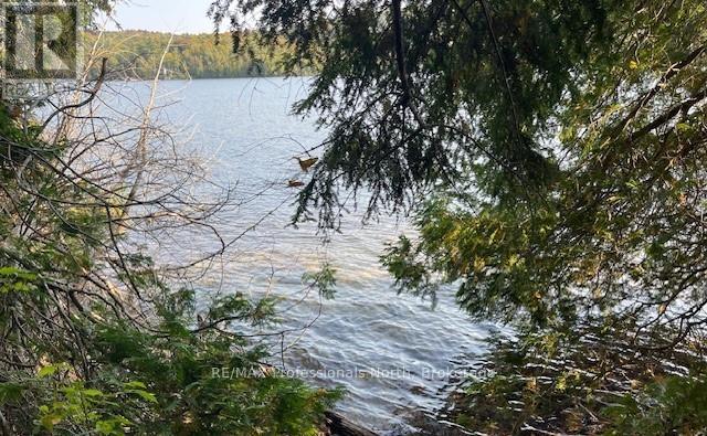 1448-2 West Oxbow Lake Road, Lake Of Bays, Ontario  P1H 2J6 - Photo 9 - X12826254