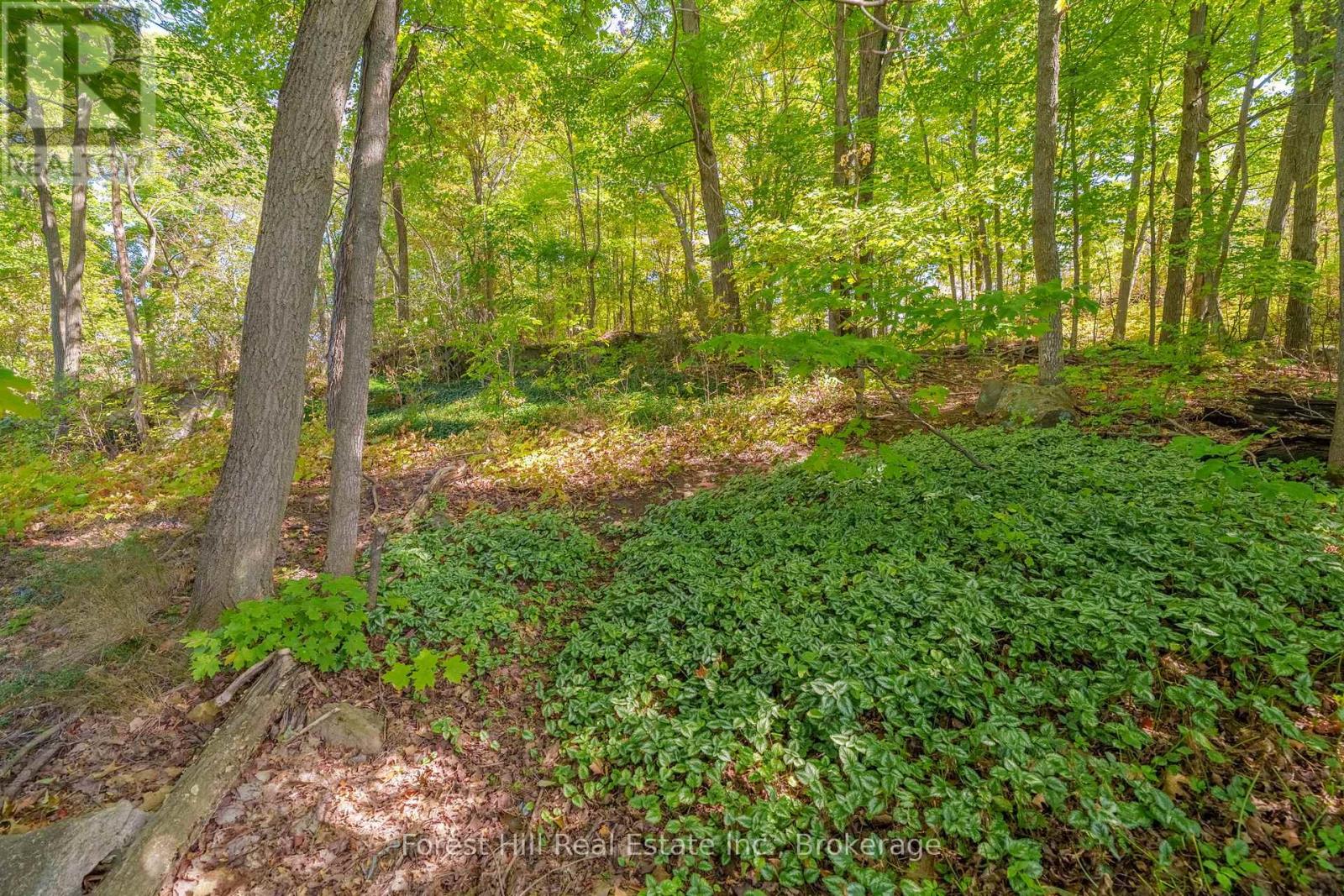 1 Maplecrest Court, Huntsville, Ontario  P1H 1G2 - Photo 42 - X12827366