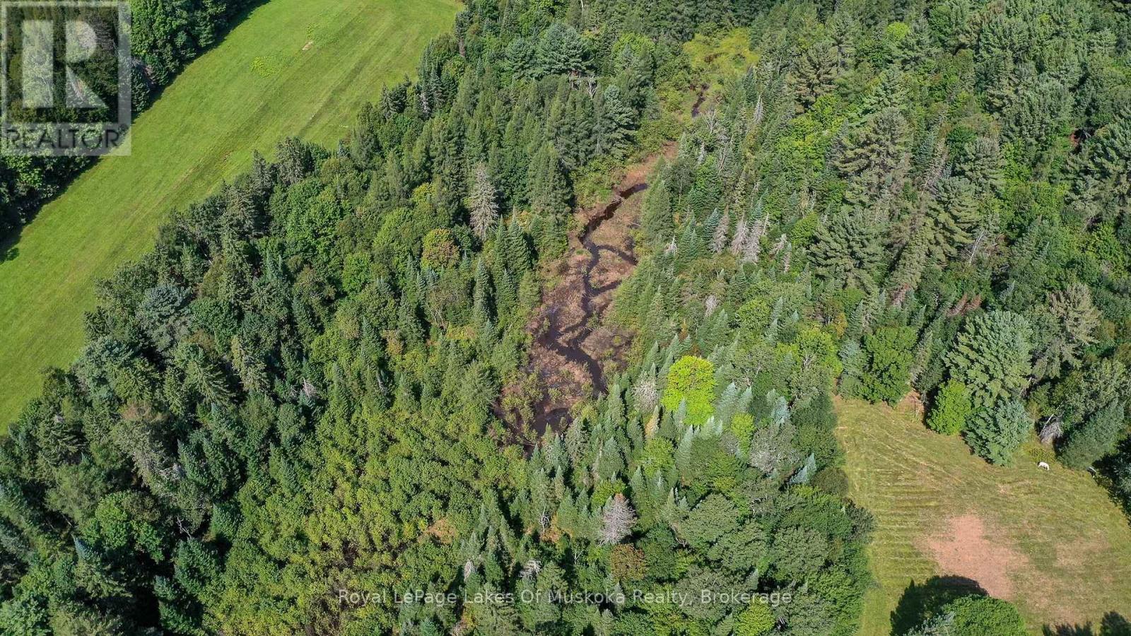 214 North Lancelot Road, Huntsville, Ontario  P0B 1M0 - Photo 37 - X12832716