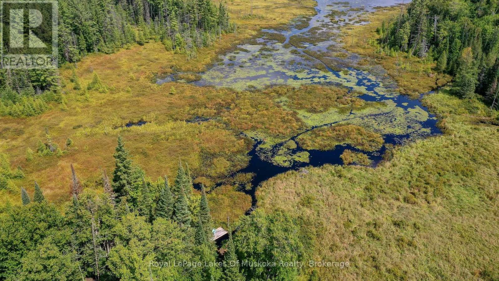 214 North Lancelot Road, Huntsville, Ontario  P0B 1M0 - Photo 39 - X12832716