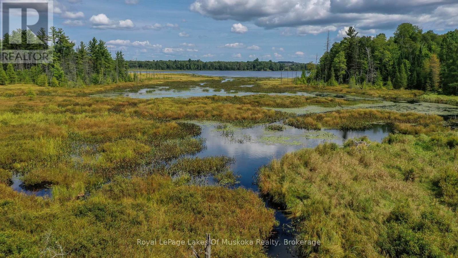 214 North Lancelot Road, Huntsville, Ontario  P0B 1M0 - Photo 41 - X12832716