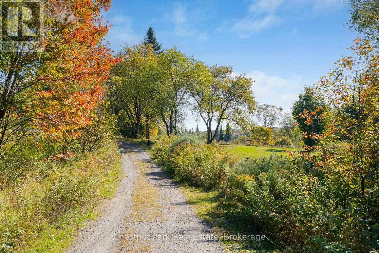 1190 Hekkla Road, Muskoka Lakes, Ontario  P0C 1J0 - Photo 5 - X12835060