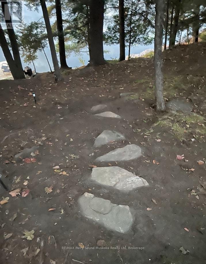 110d Louisa Street, Parry Sound, Ontario  P2A 2V3 - Photo 11 - X12837130