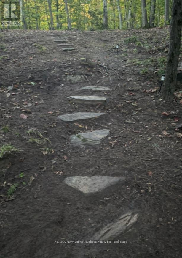 110d Louisa Street, Parry Sound, Ontario  P2A 2V3 - Photo 13 - X12837130