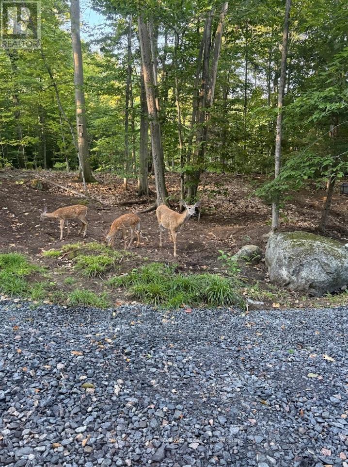 110d Louisa Street, Parry Sound, Ontario  P2A 2V3 - Photo 21 - X12837130