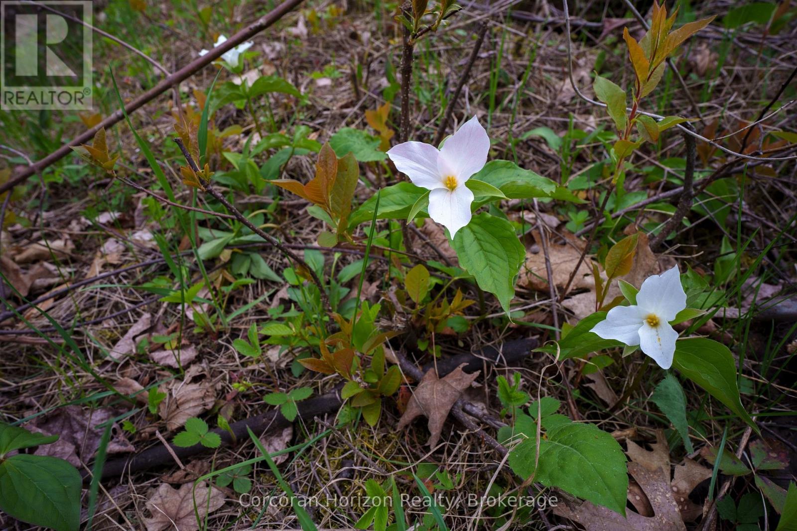 9316 Georgian Bay Shore Road, Georgian Bay, Ontario  P0E 1E0 - Photo 46 - X12838558