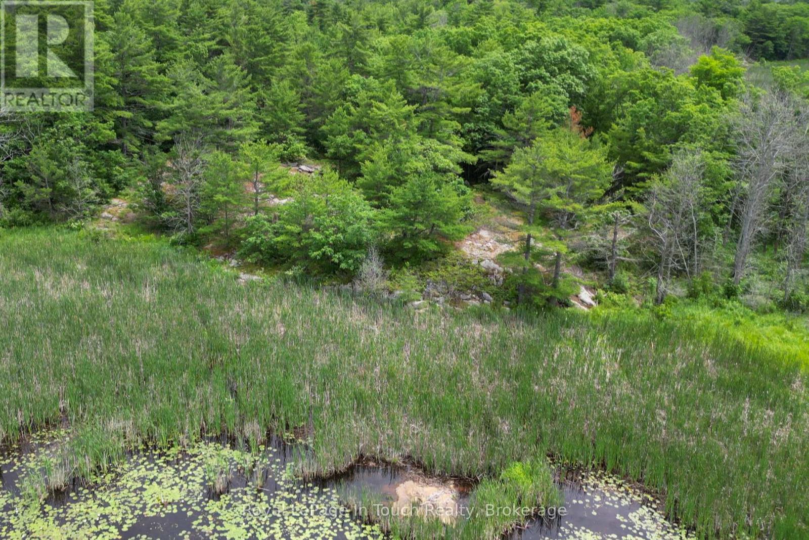 180 Prisque Road, Georgian Bay, Ontario  P0E 1E0 - Photo 3 - X12838772