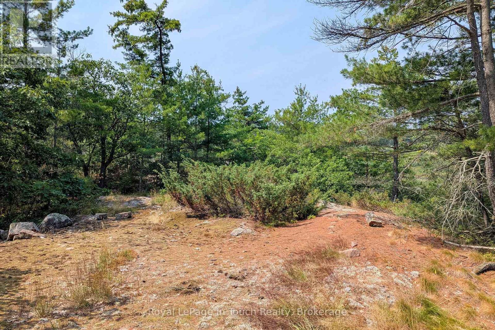 180 Prisque Road, Georgian Bay, Ontario  P0E 1E0 - Photo 8 - X12838772