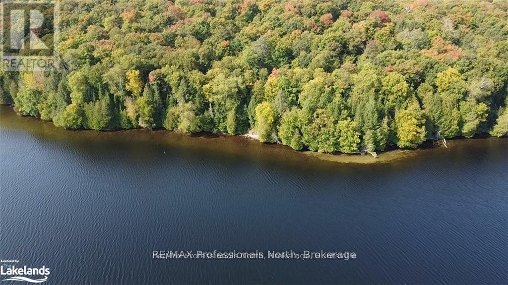 1448-3 West Oxbow Lake Road, Lake Of Bays, Ontario  P1H 2J6 - Photo 3 - X12839384