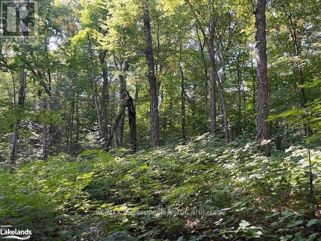 1448-3 West Oxbow Lake Road, Lake Of Bays, Ontario  P1H 2J6 - Photo 7 - X12839384