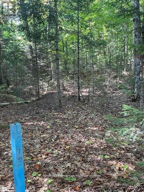 1448-3 West Oxbow Lake Road, Lake Of Bays, Ontario  P1H 2J6 - Photo 8 - X12839384