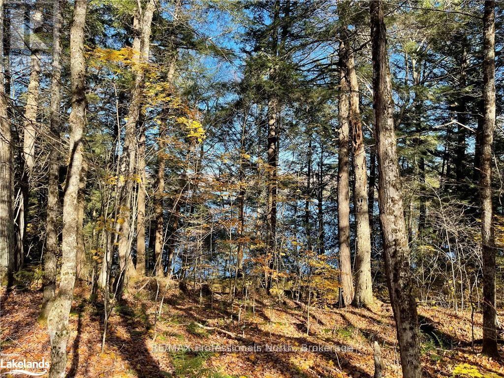 1440-6 West Oxbow Lake Road, Lake Of Bays, Ontario  P1H 2J6 - Photo 7 - X12839396