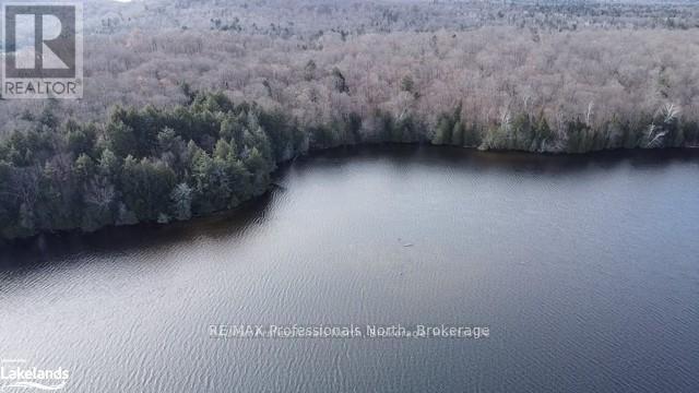 1440-5 West Oxbow Lake Road, Lake Of Bays, Ontario  P1H 2J6 - Photo 10 - X12839400