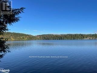 1440-5 West Oxbow Lake Road, Lake Of Bays, Ontario  P1H 2J6 - Photo 12 - X12839400