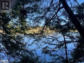 1440-5 West Oxbow Lake Road, Lake Of Bays, Ontario  P1H 2J6 - Photo 13 - X12839400