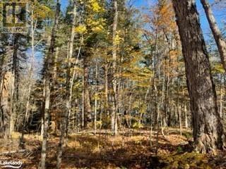 1440-5 West Oxbow Lake Road, Lake Of Bays, Ontario  P1H 2J6 - Photo 5 - X12839400