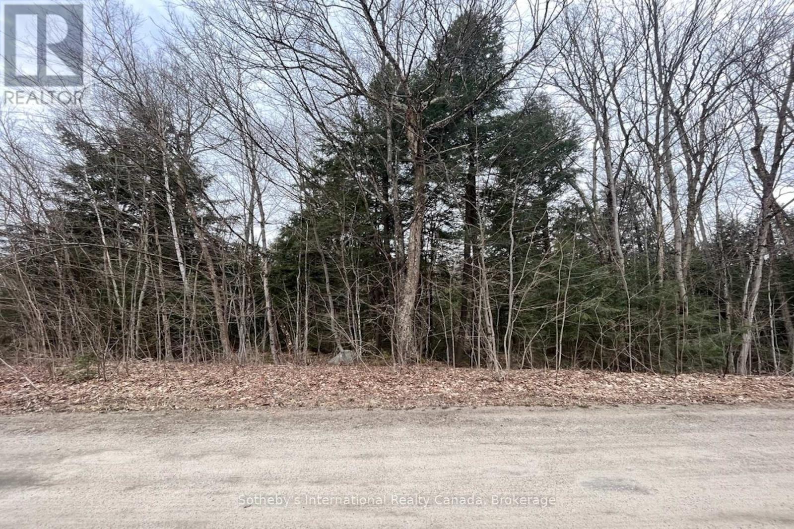 1031 Haven Road, Bracebridge, Ontario  P1L 1X1 - Photo 12 - X12840170