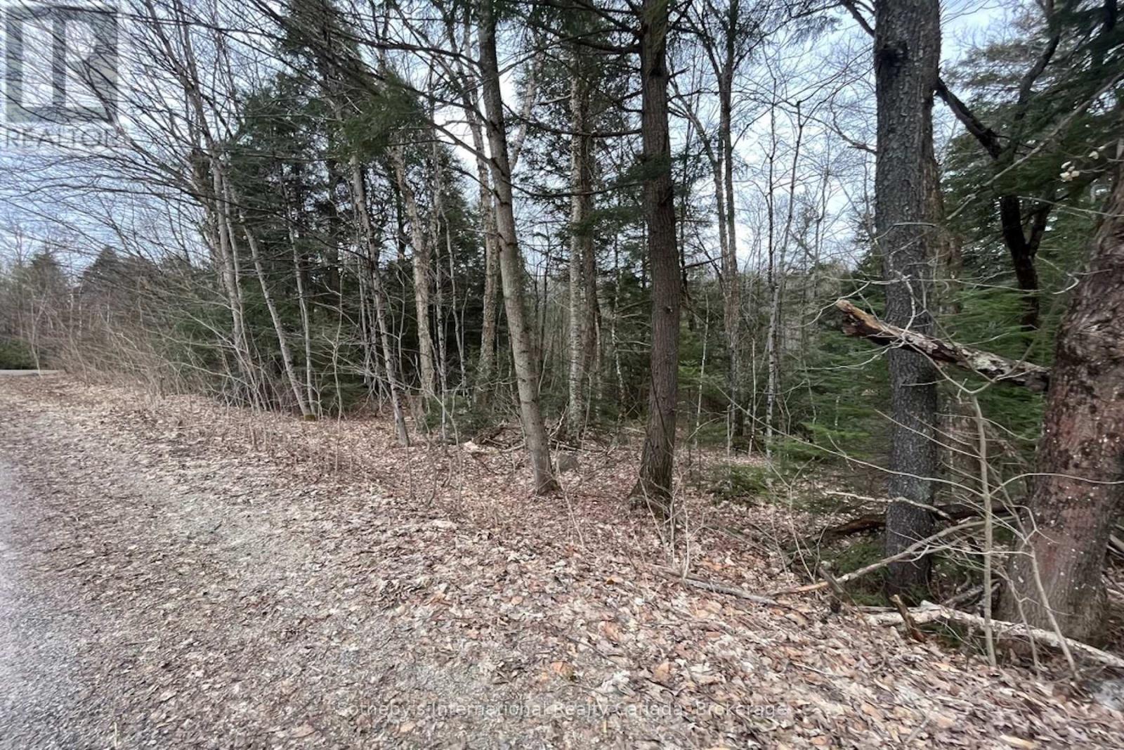 1031 Haven Road, Bracebridge, Ontario  P1L 1X1 - Photo 6 - X12840170