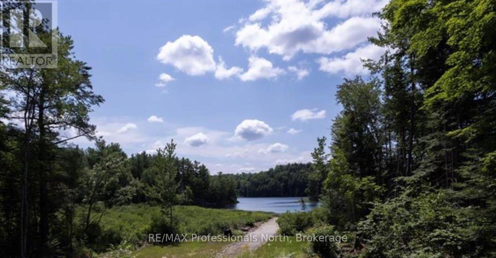 1023 Ril Lake Road, Lake Of Bays, Ontario  P0B 1A0 - Photo 20 - X12843842