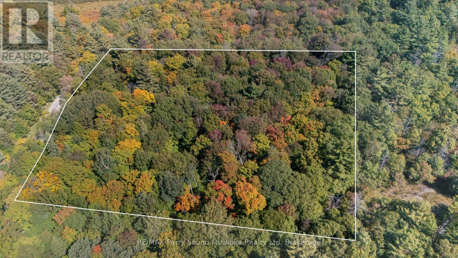 72 Mccauley Road, Seguin, Ontario  P0C 1J0 - Photo 1 - X12846098