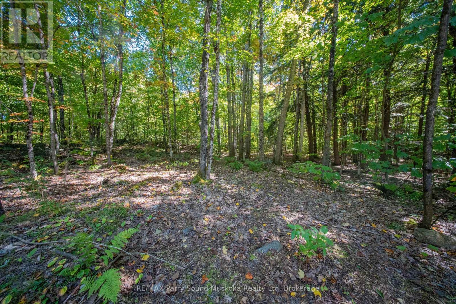 72 Mccauley Road, Seguin, Ontario  P0C 1J0 - Photo 16 - X12846098