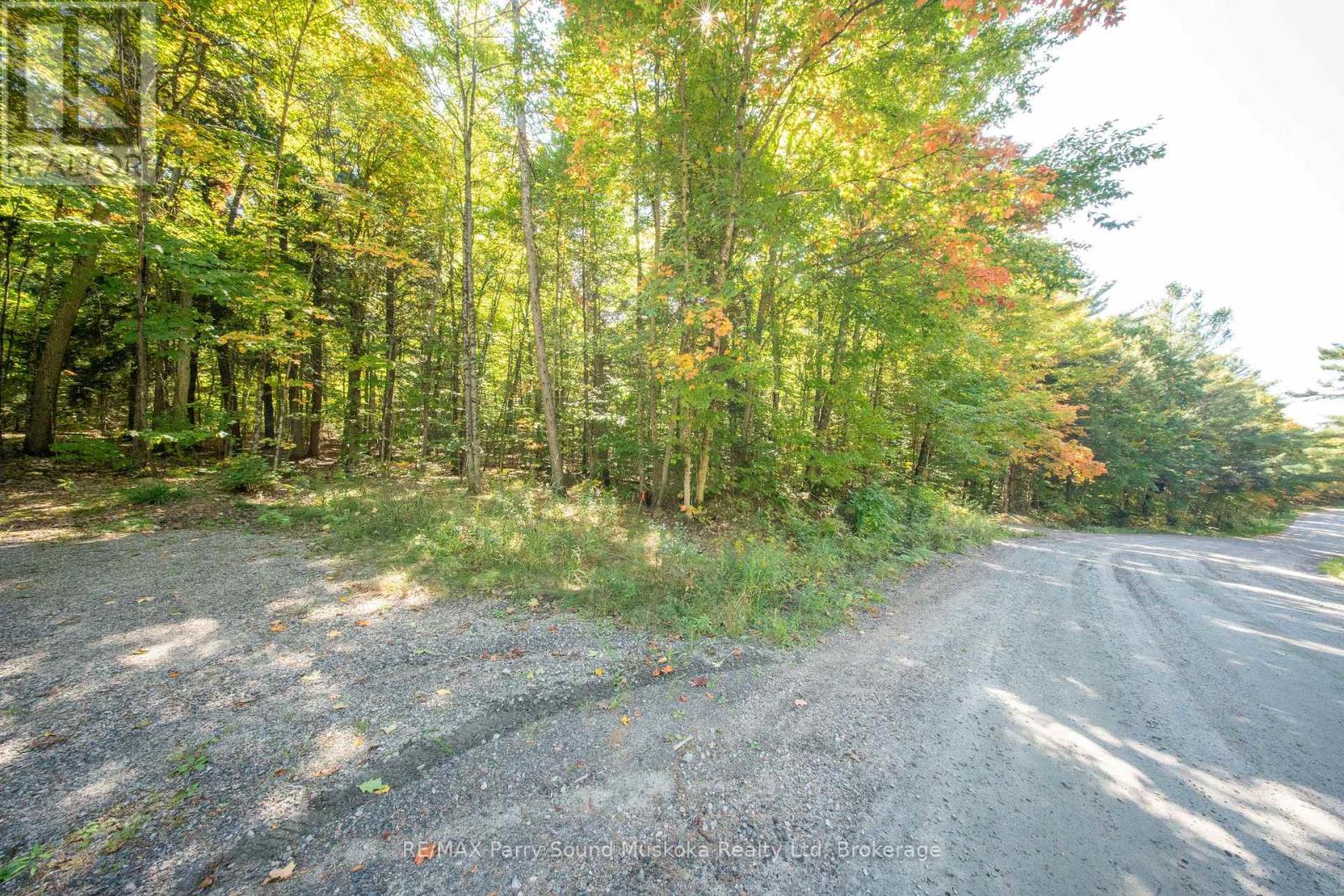 72 Mccauley Road, Seguin, Ontario  P0C 1J0 - Photo 17 - X12846098