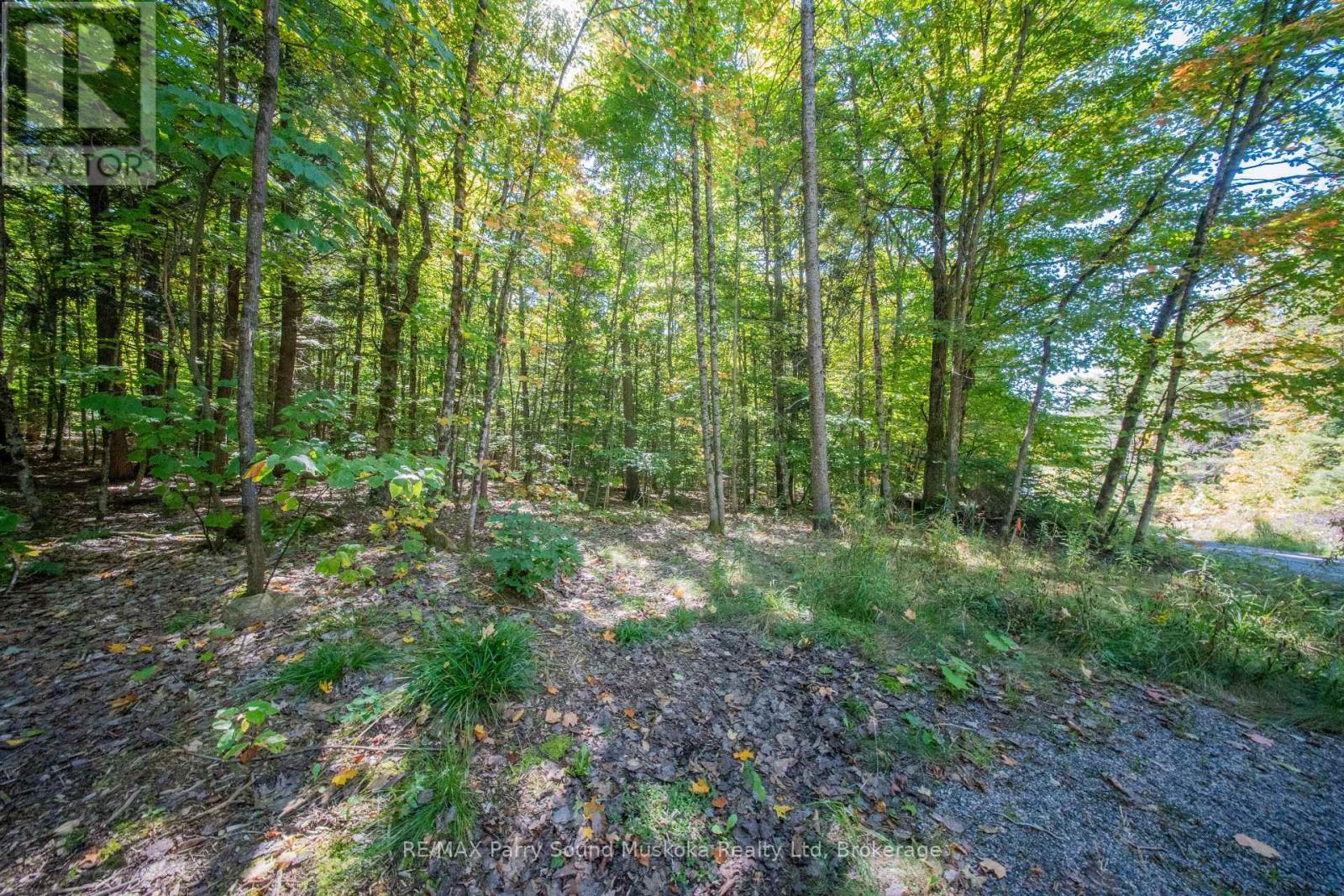 72 Mccauley Road, Seguin, Ontario  P0C 1J0 - Photo 2 - X12846098