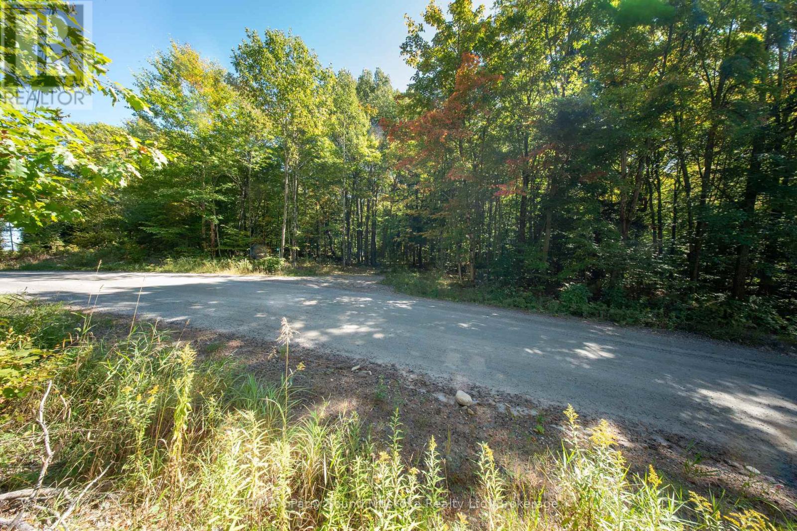 72 Mccauley Road, Seguin, Ontario  P0C 1J0 - Photo 20 - X12846098