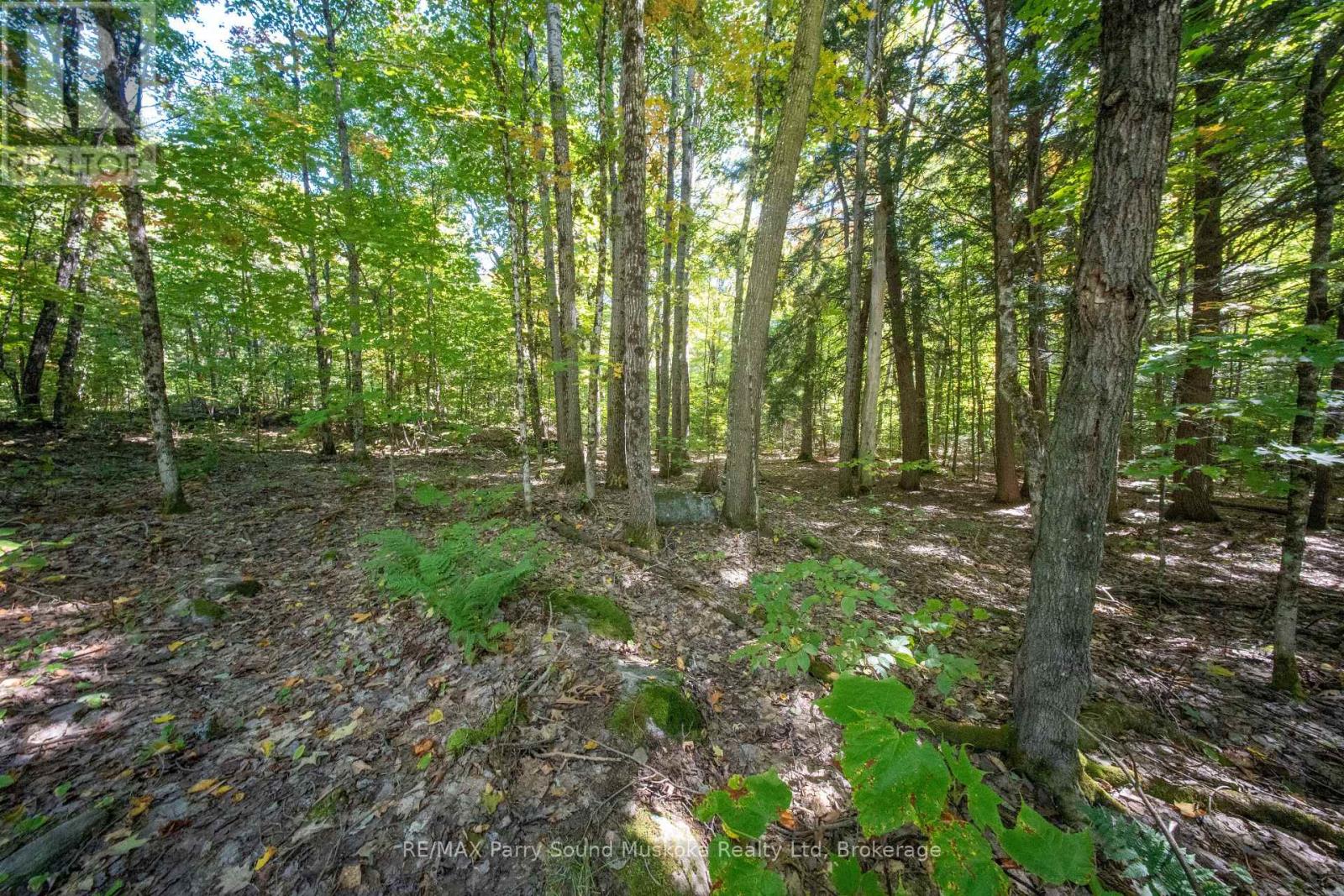 72 Mccauley Road, Seguin, Ontario  P0C 1J0 - Photo 23 - X12846098