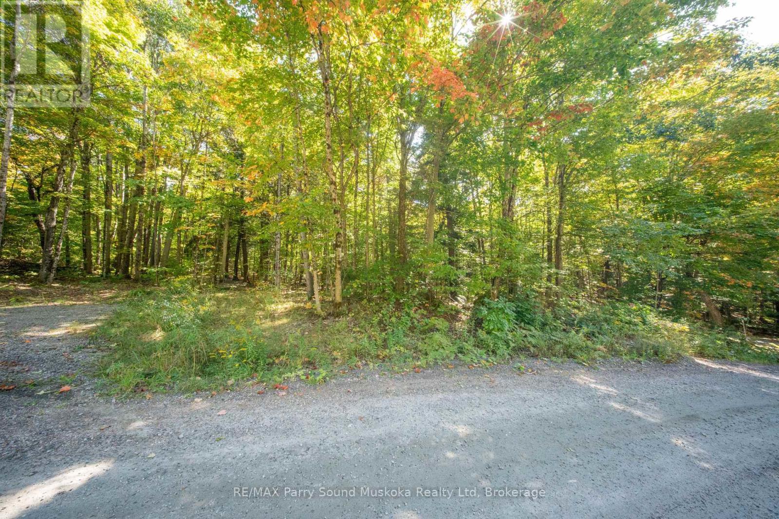 72 Mccauley Road, Seguin, Ontario  P0C 1J0 - Photo 24 - X12846098