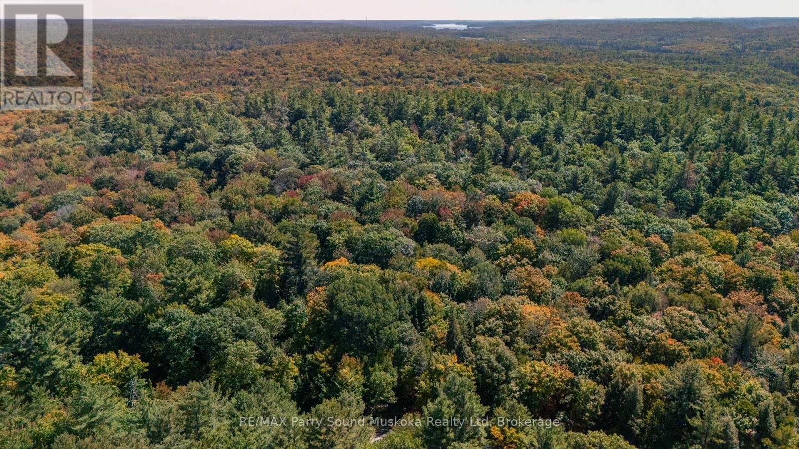 72 Mccauley Road, Seguin, Ontario  P0C 1J0 - Photo 3 - X12846098