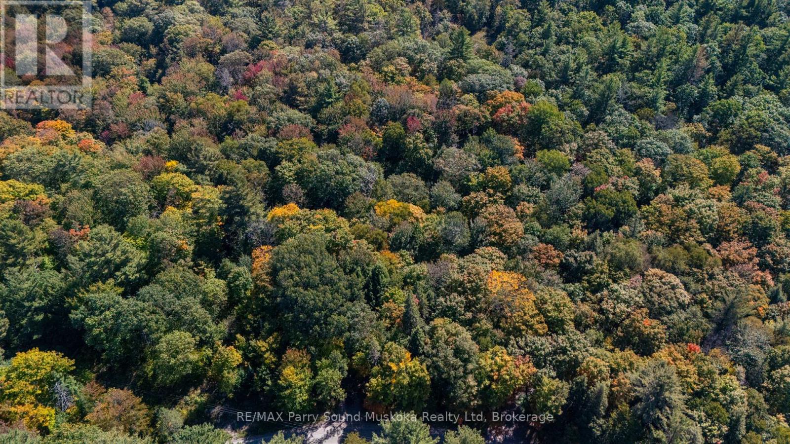 72 Mccauley Road, Seguin, Ontario  P0C 1J0 - Photo 5 - X12846098