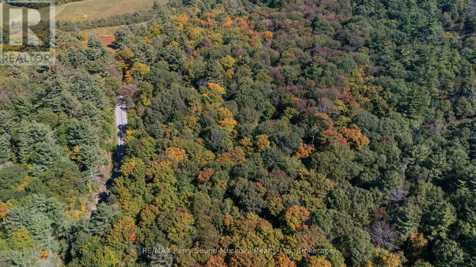 72 Mccauley Road, Seguin, Ontario  P0C 1J0 - Photo 6 - X12846098