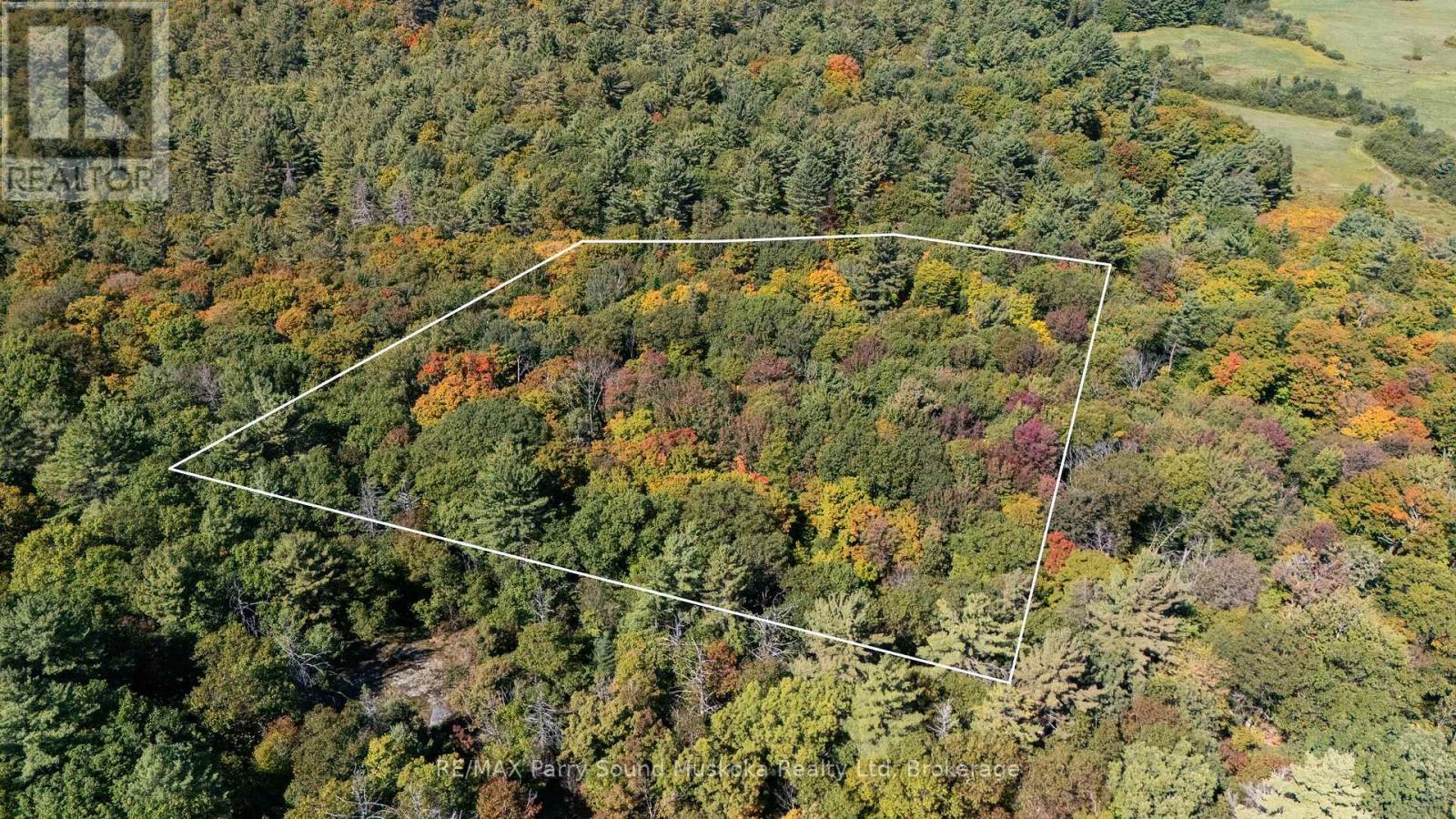 72 Mccauley Road, Seguin, Ontario  P0C 1J0 - Photo 7 - X12846098