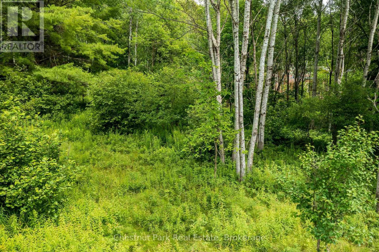 17 Vernon Lane, Huntsville, Ontario  P1H 2J2 - Photo 14 - X12847644