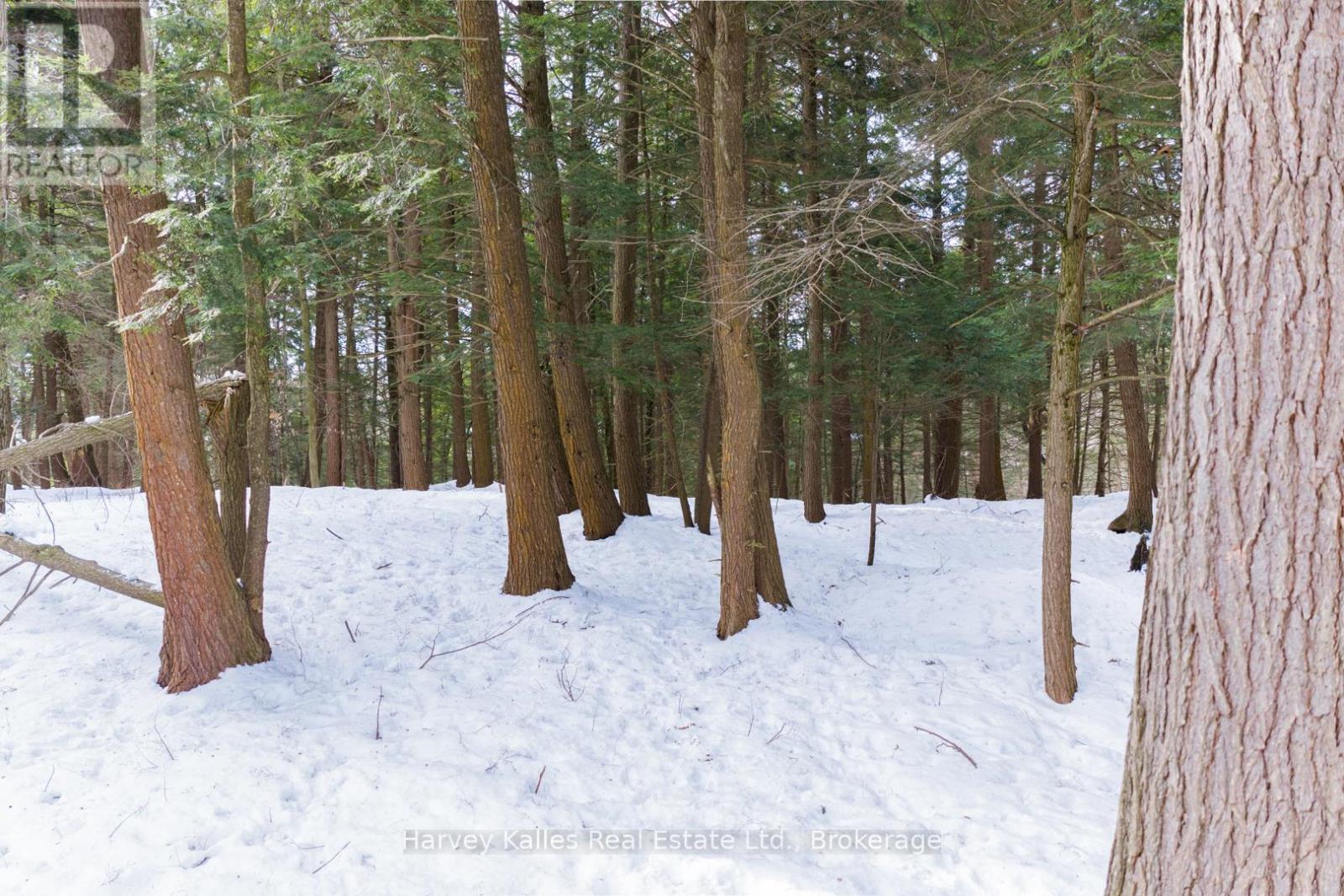Lot #8 - 38 Gryffin Bluffs Lane, Huntsville, Ontario  P0B 1M0 - Photo 10 - X12848096