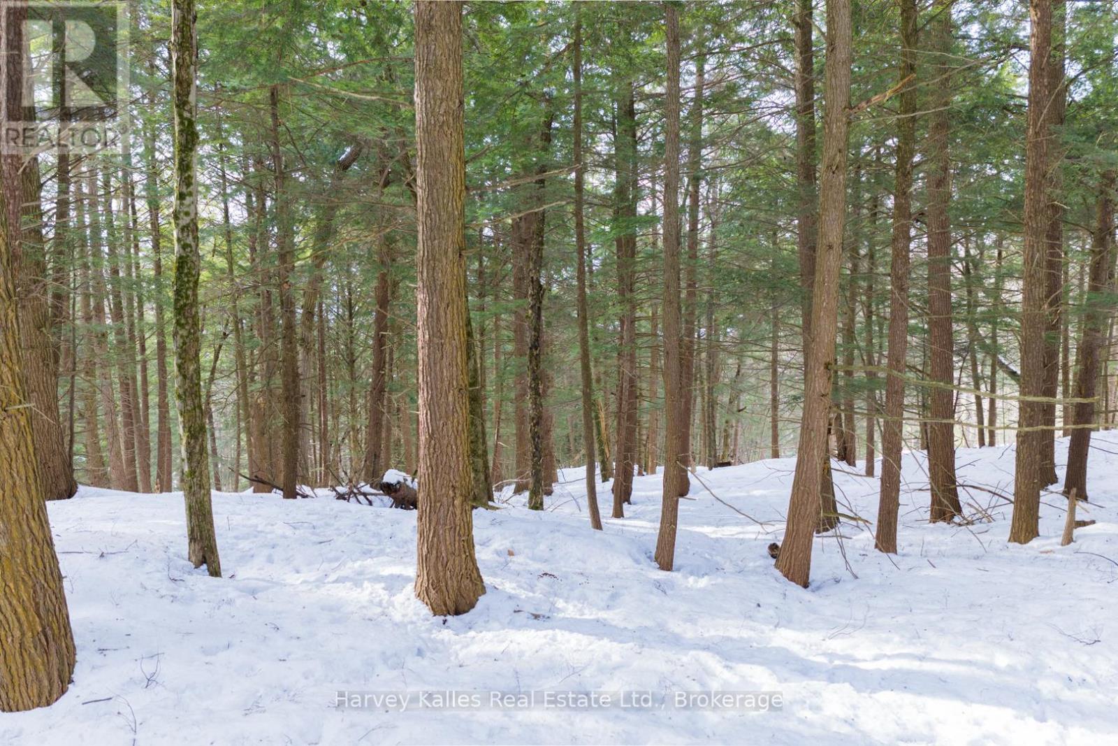 Lot #8 - 38 Gryffin Bluffs Lane, Huntsville, Ontario  P0B 1M0 - Photo 11 - X12848096