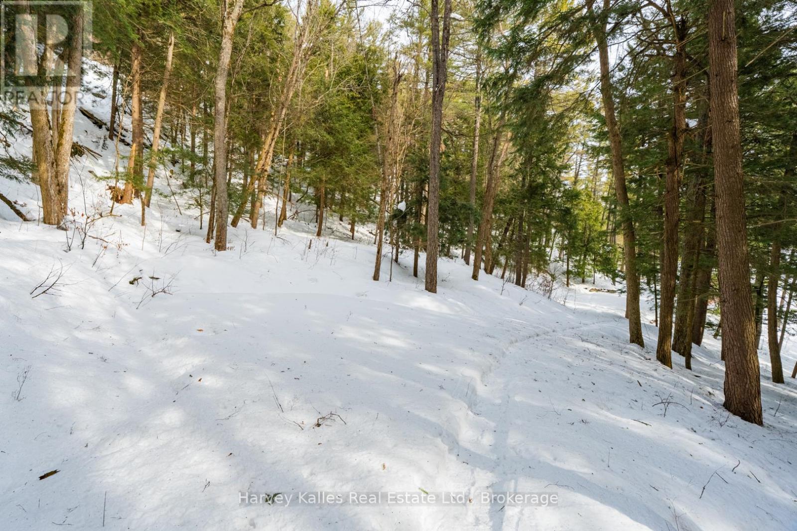 Lot #8 - 38 Gryffin Bluffs Lane, Huntsville, Ontario  P0B 1M0 - Photo 15 - X12848096