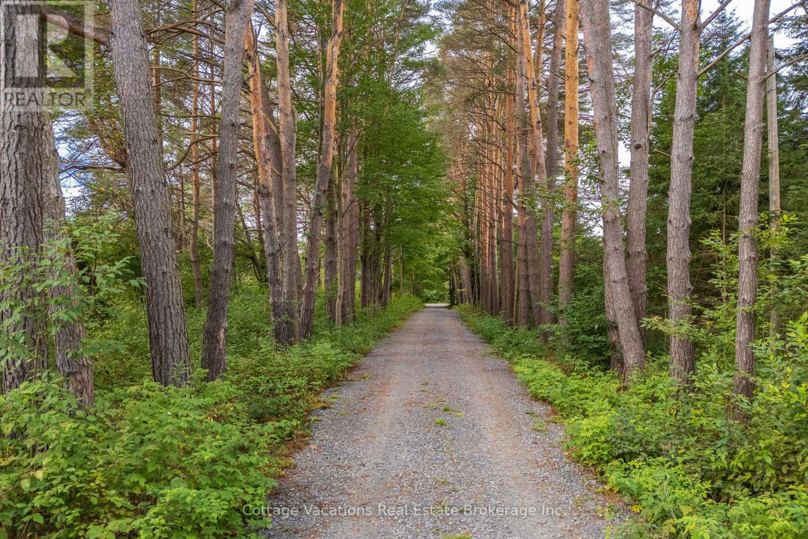 225 Etwell Road, Huntsville, Ontario  P1H 2J2 - Photo 50 - X12849260