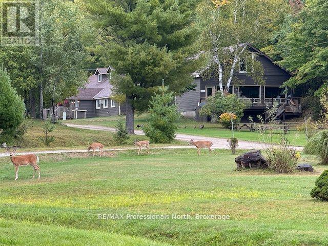 126-5 - 1052 Rat Bay Road S, Lake Of Bays, Ontario  P0A 1H0 - Photo 30 - X12850002