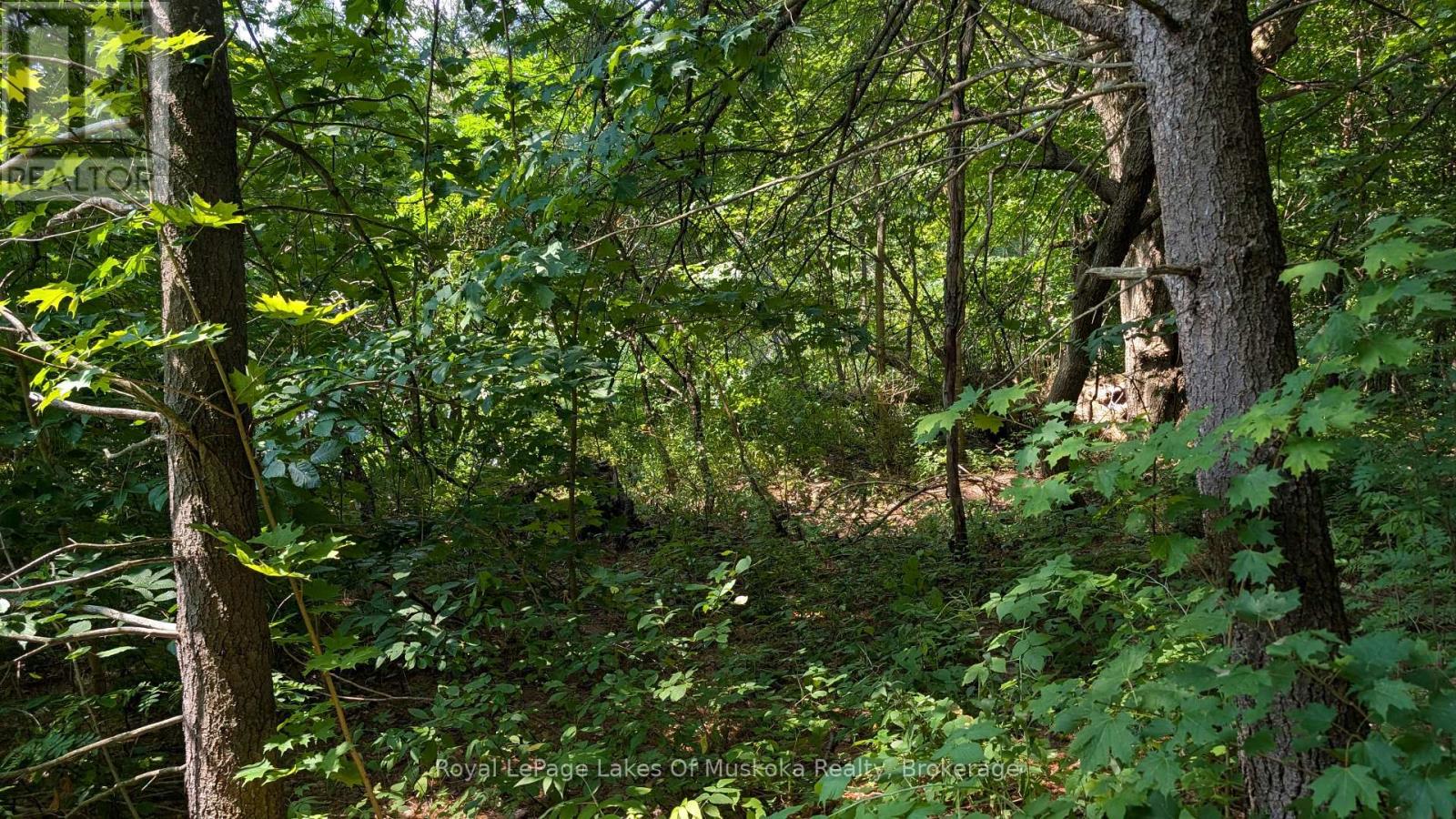 206 Vel-Dor Crescent, Bracebridge, Ontario  P1L 1J4 - Photo 2 - X12852426