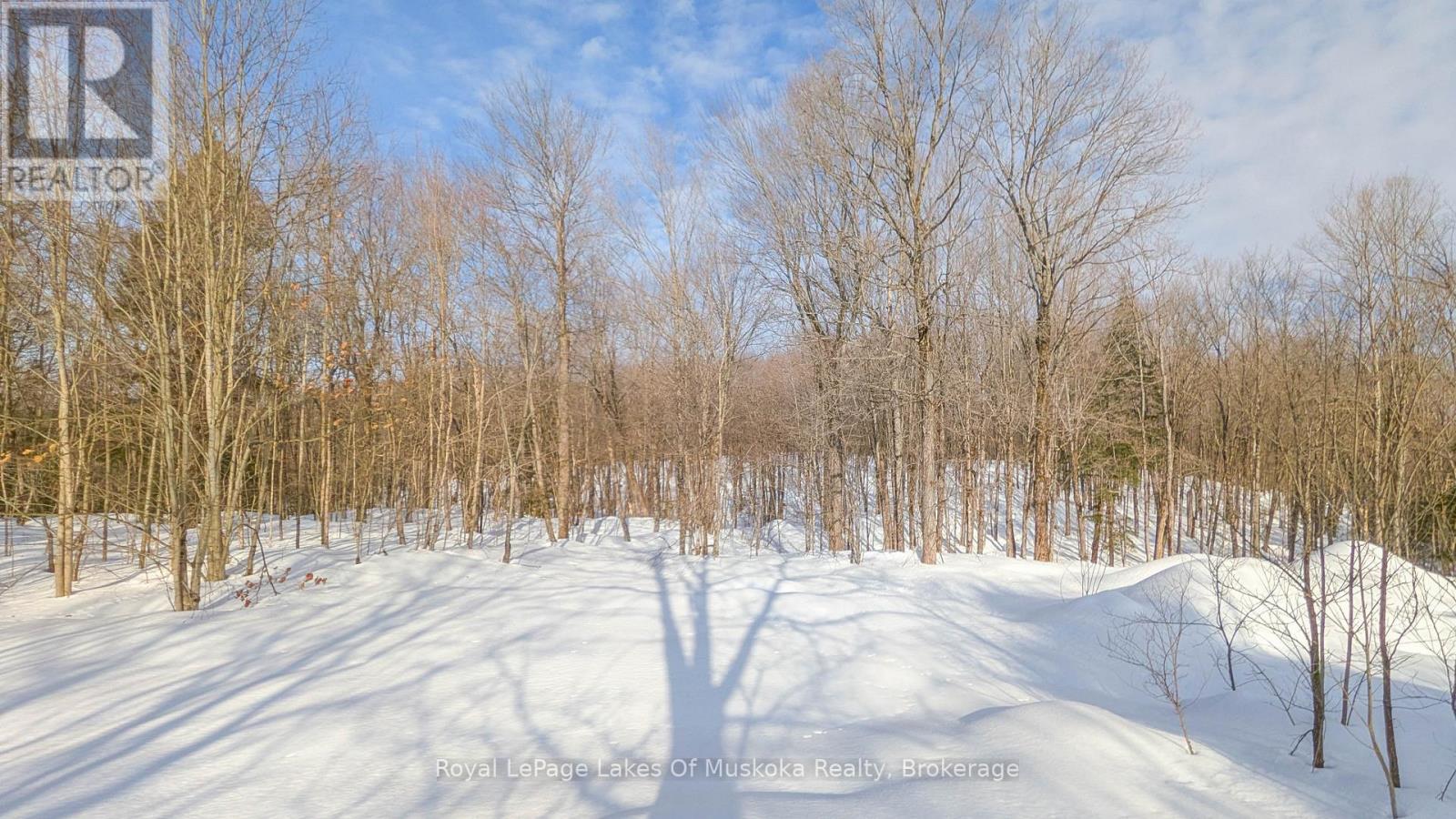 1100 Raymond Road, Muskoka Lakes, Ontario  P0B 1M0 - Photo 1 - X12854322