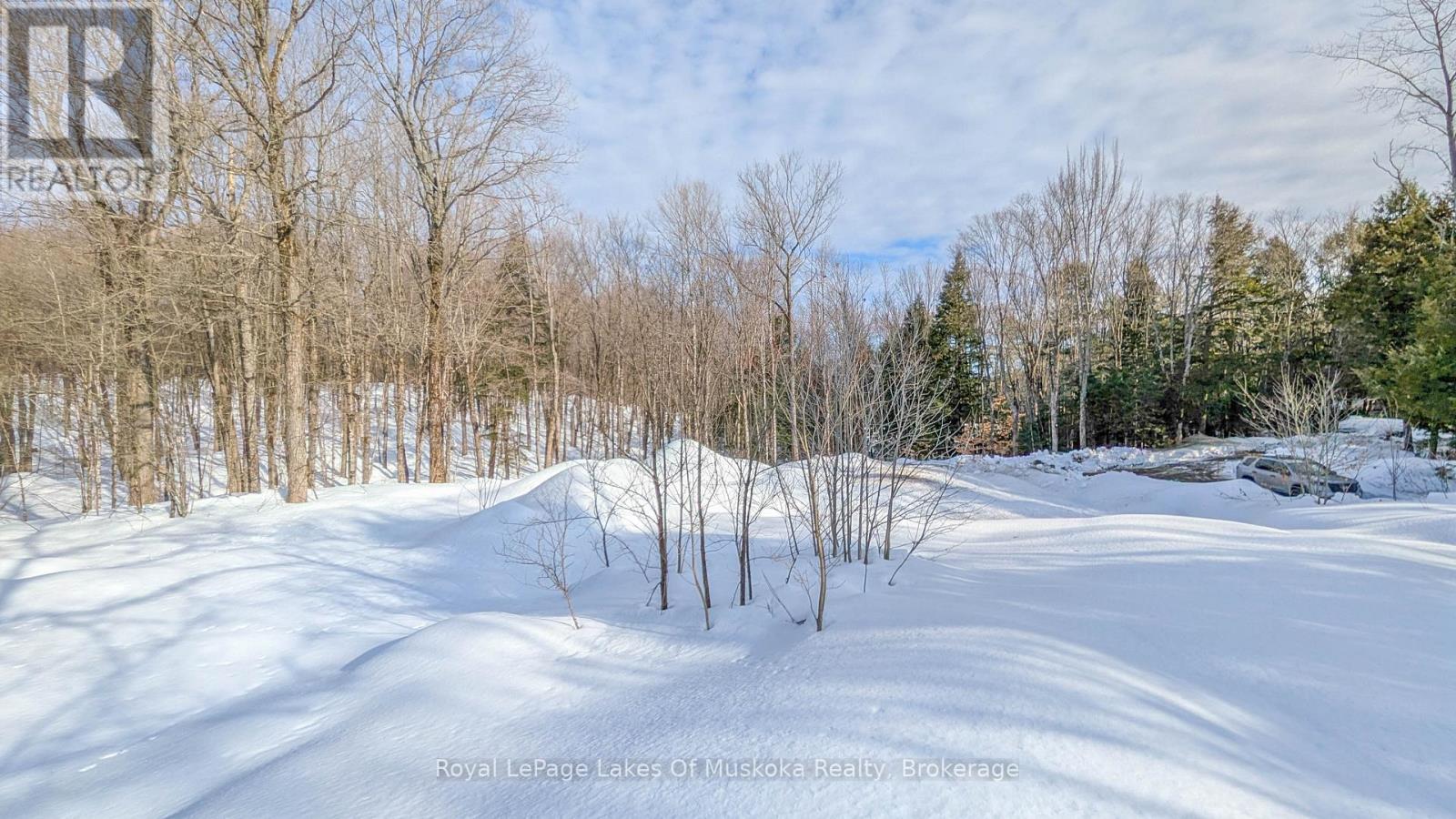 1100 Raymond Road, Muskoka Lakes, Ontario  P0B 1M0 - Photo 12 - X12854322