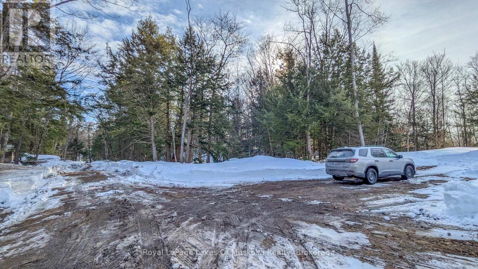 1100 Raymond Road, Muskoka Lakes, Ontario  P0B 1M0 - Photo 13 - X12854322