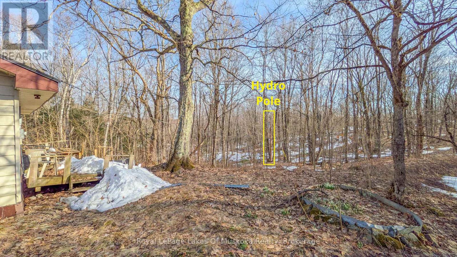 1100 Raymond Road, Muskoka Lakes, Ontario  P0B 1M0 - Photo 16 - X12854322