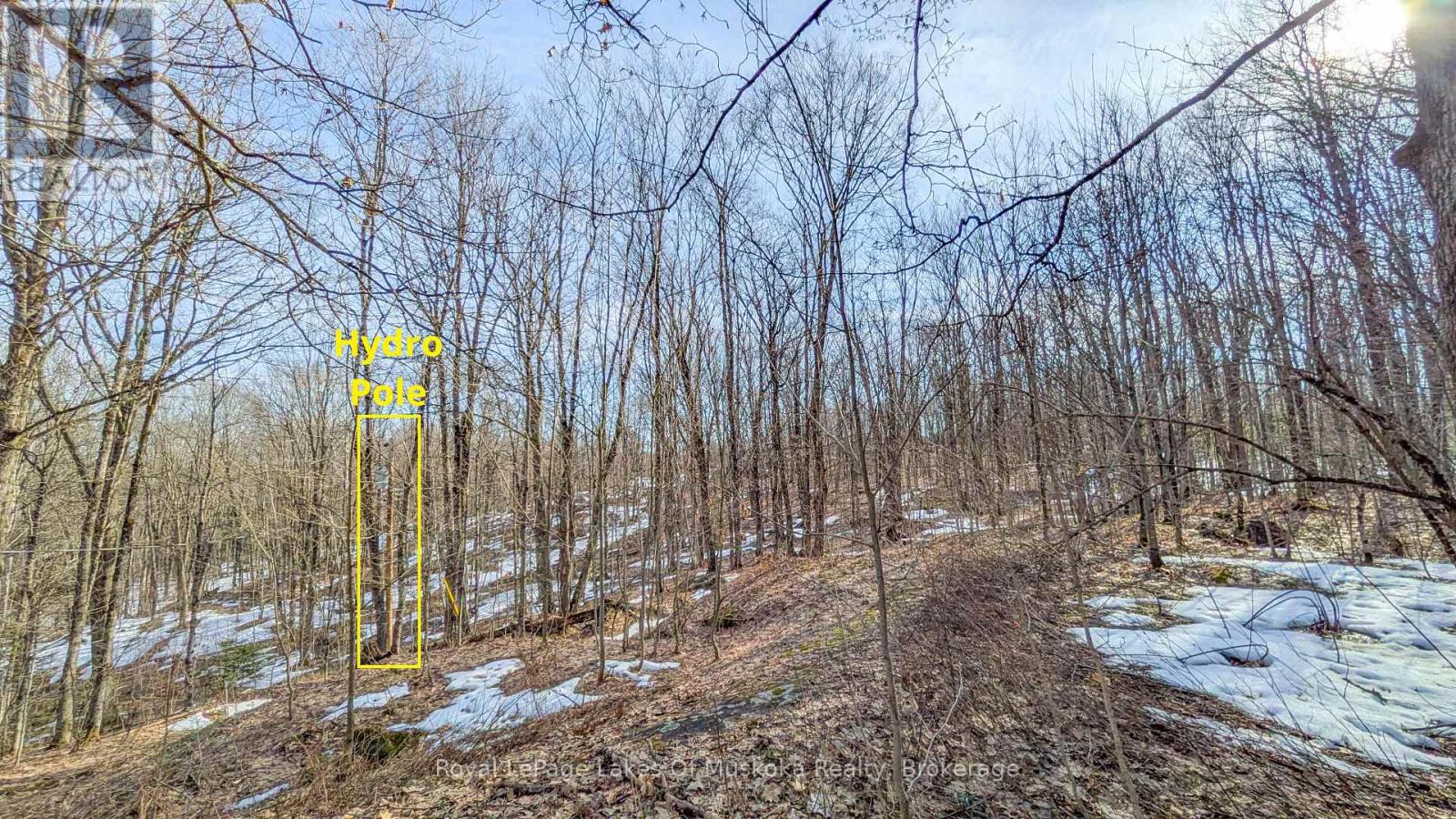 1100 Raymond Road, Muskoka Lakes, Ontario  P0B 1M0 - Photo 17 - X12854322